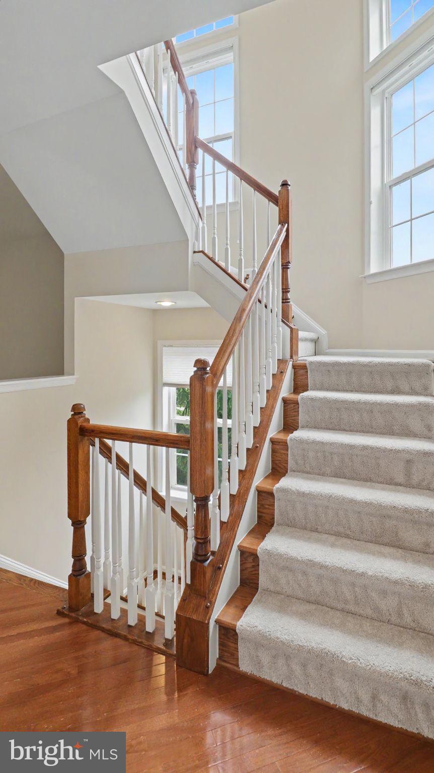 42371 TRELLIS SQUARE