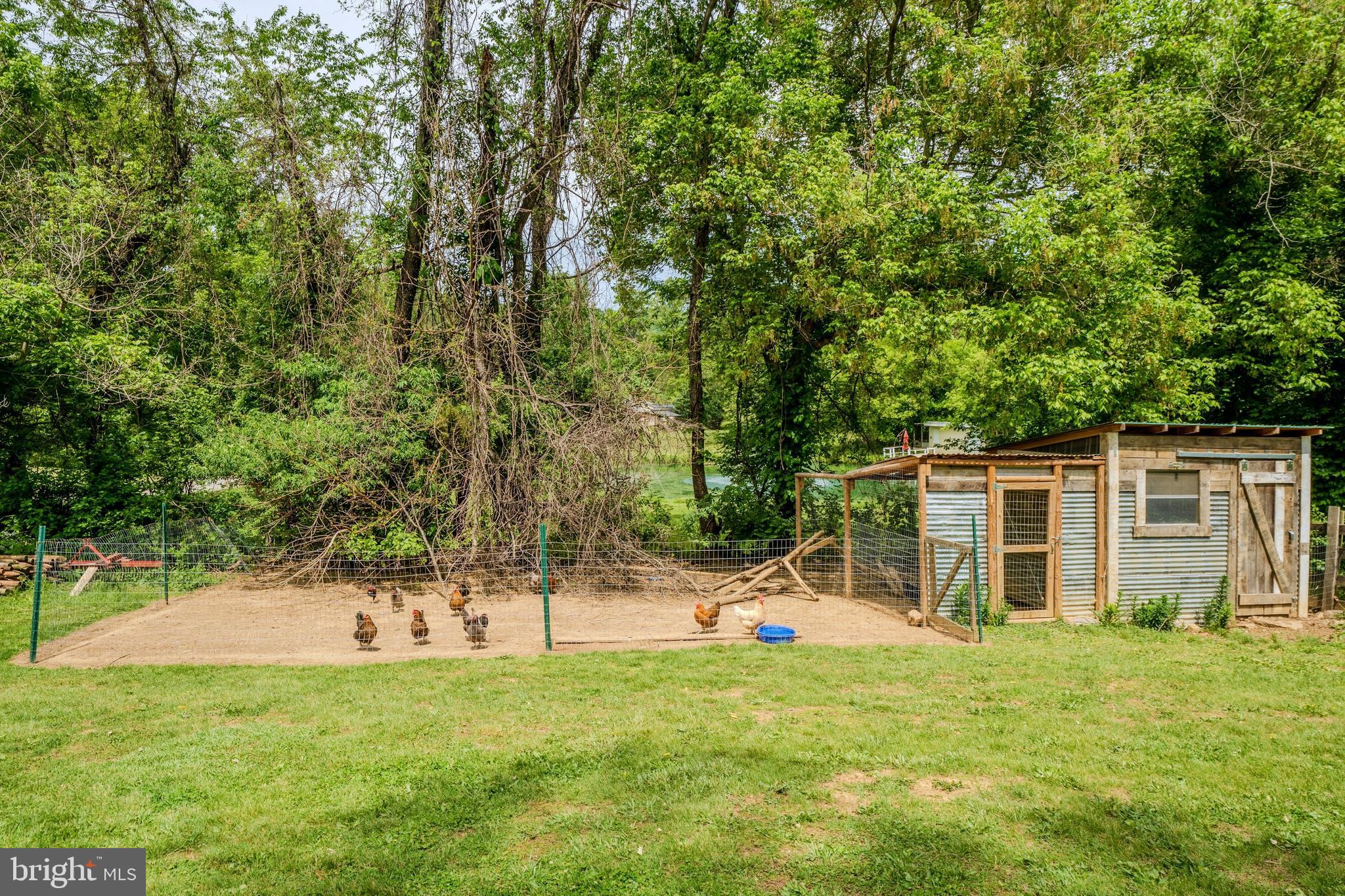 11404 RUSSELL ROAD