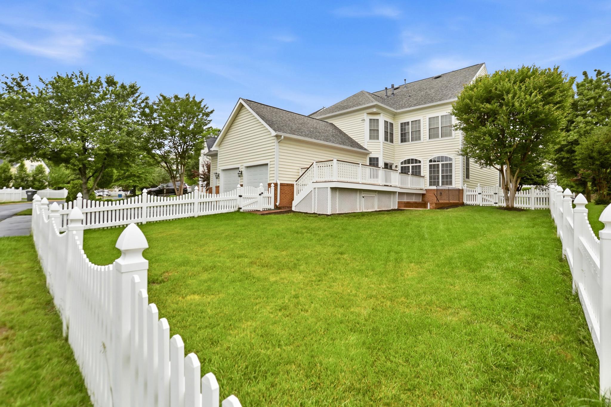 22938 GOLDENROD