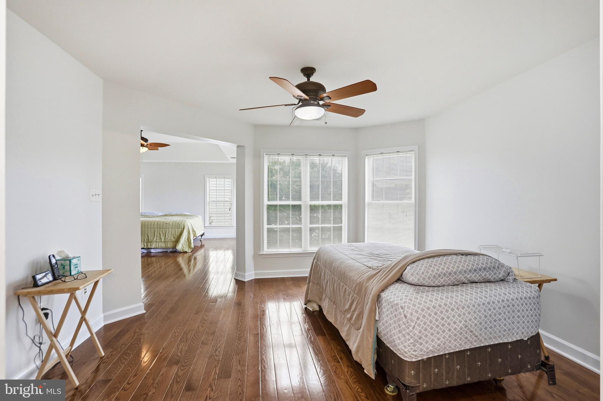 22938 GOLDENROD