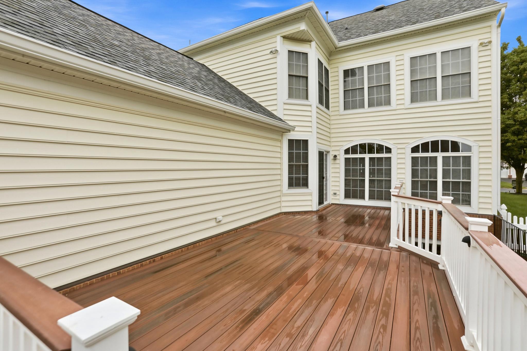 22938 GOLDENROD
