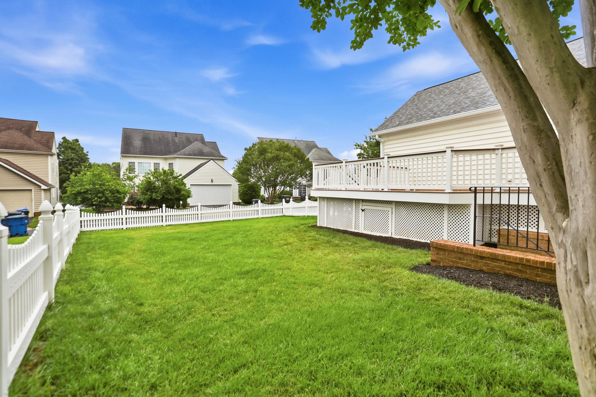 22938 GOLDENROD