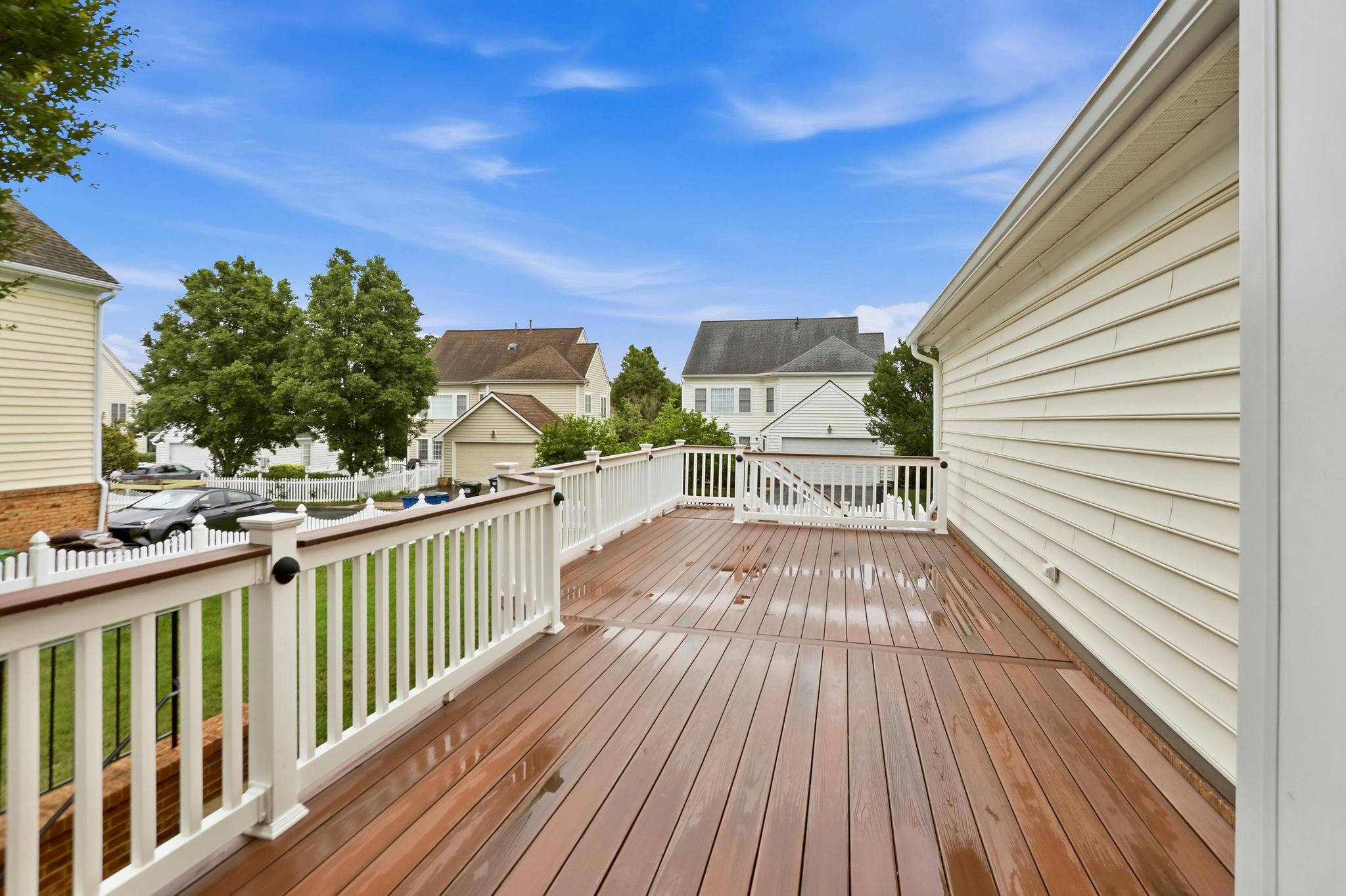 22938 GOLDENROD