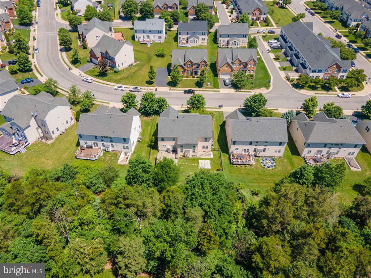 42414 PINE FOREST DRIVE