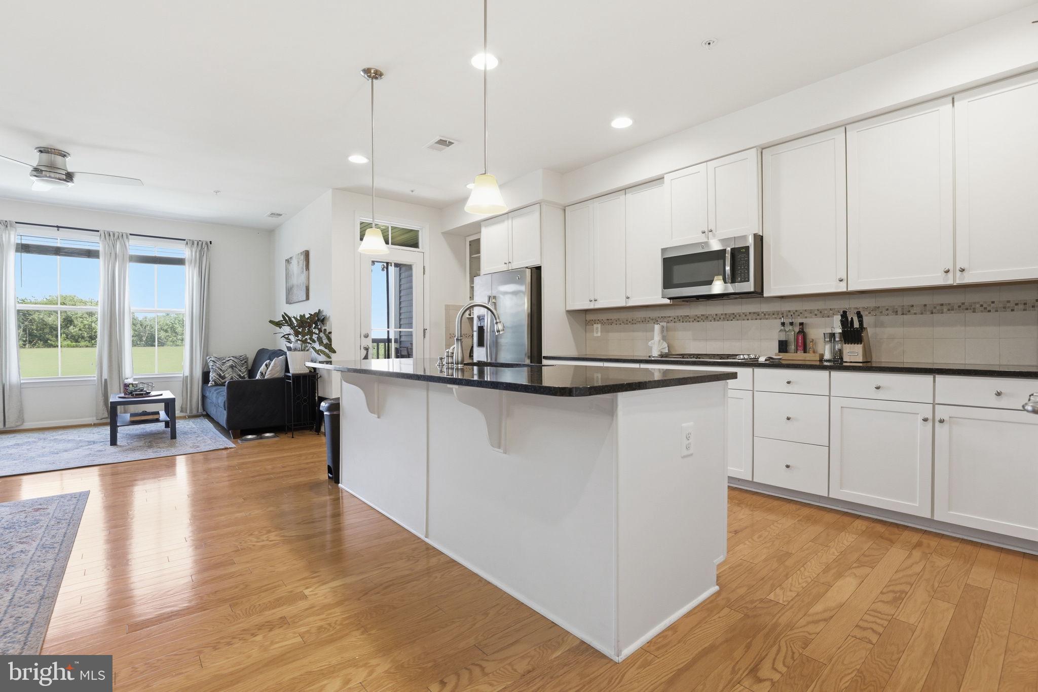 41528 HORSE CHESTNUT TERRACE