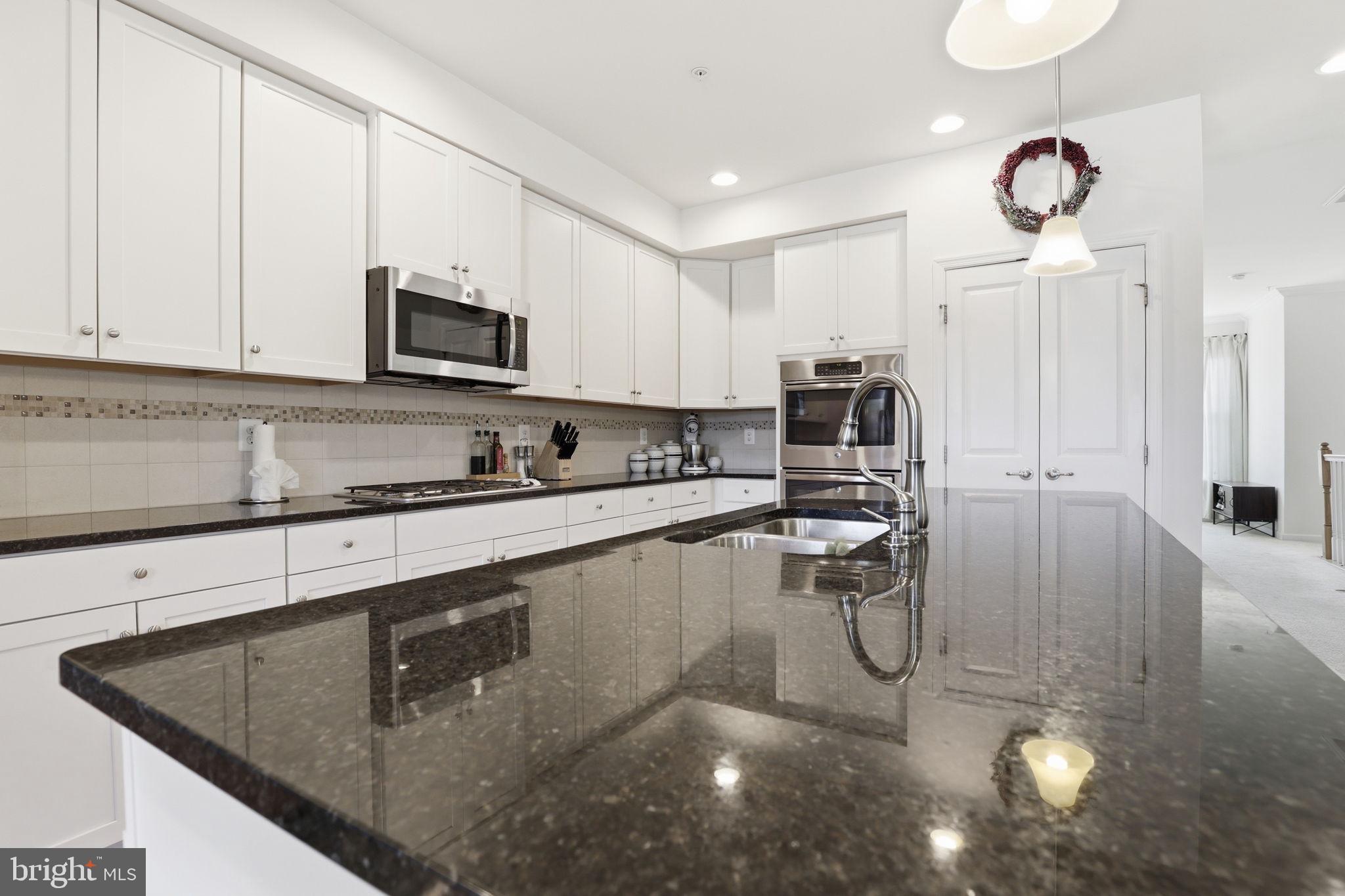 41528 HORSE CHESTNUT TERRACE