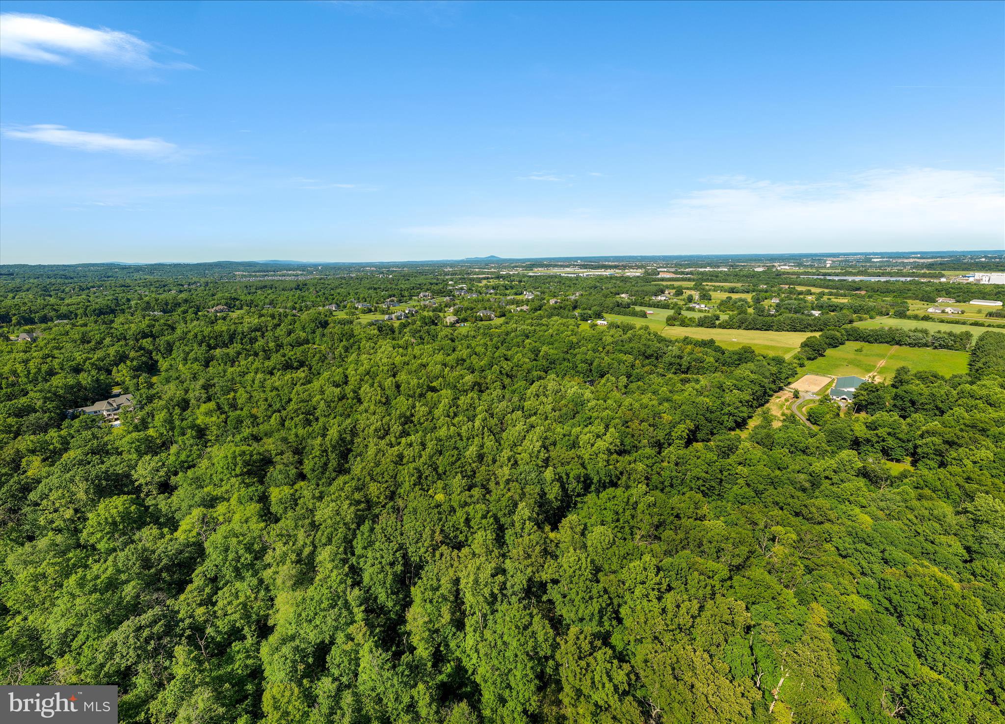 41216 BRIDGES FARM LANE