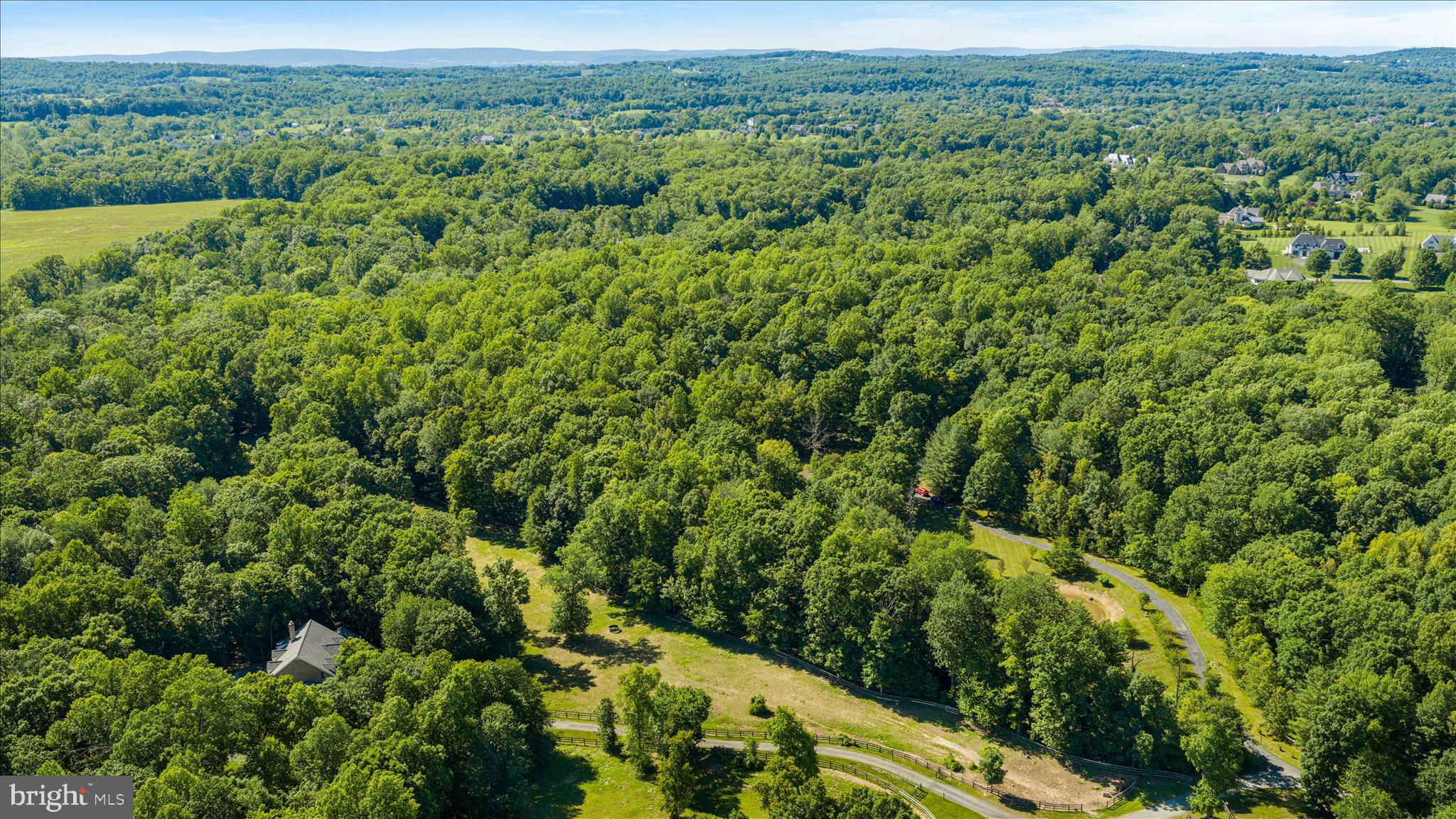 41216 BRIDGES FARM LANE