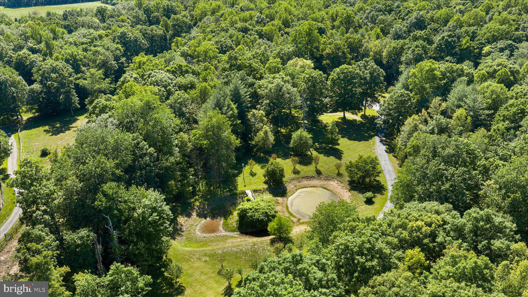 41216 BRIDGES FARM LANE