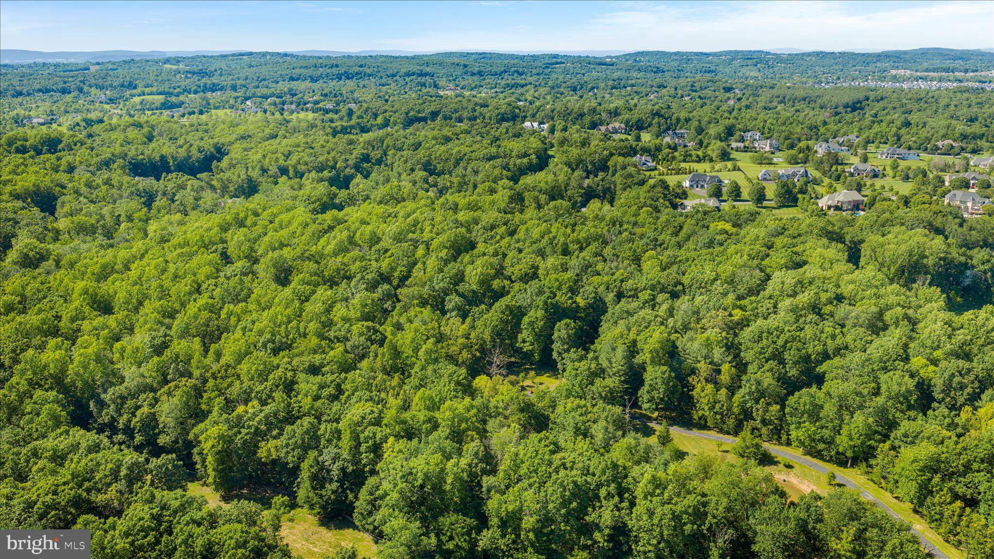 41216 BRIDGES FARM LANE