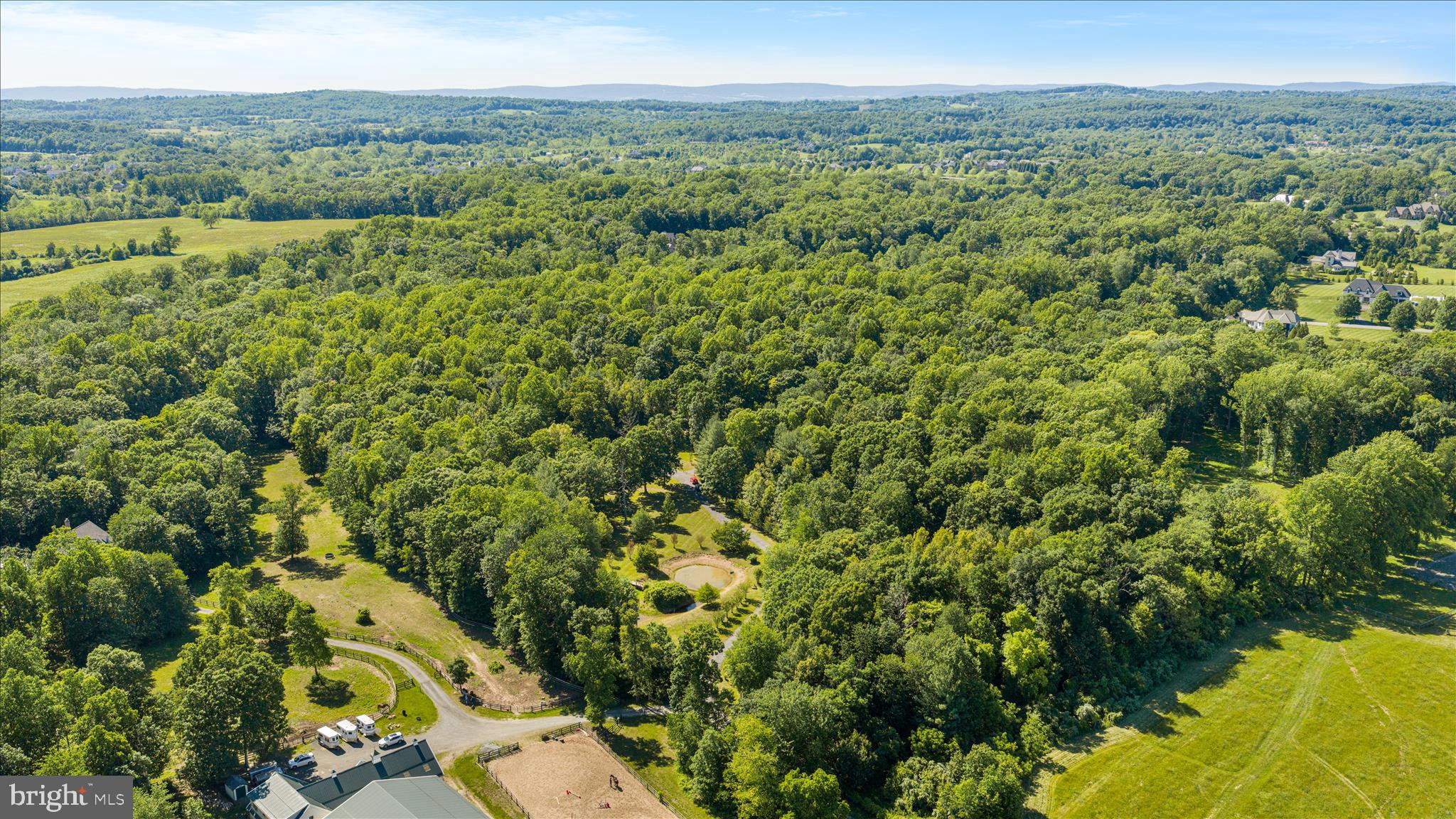 41216 BRIDGES FARM LANE