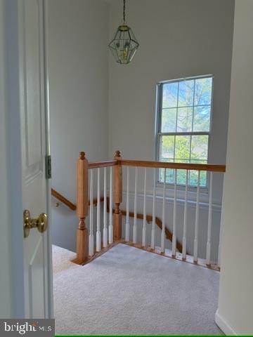 20539 ASHLEY TERRACE