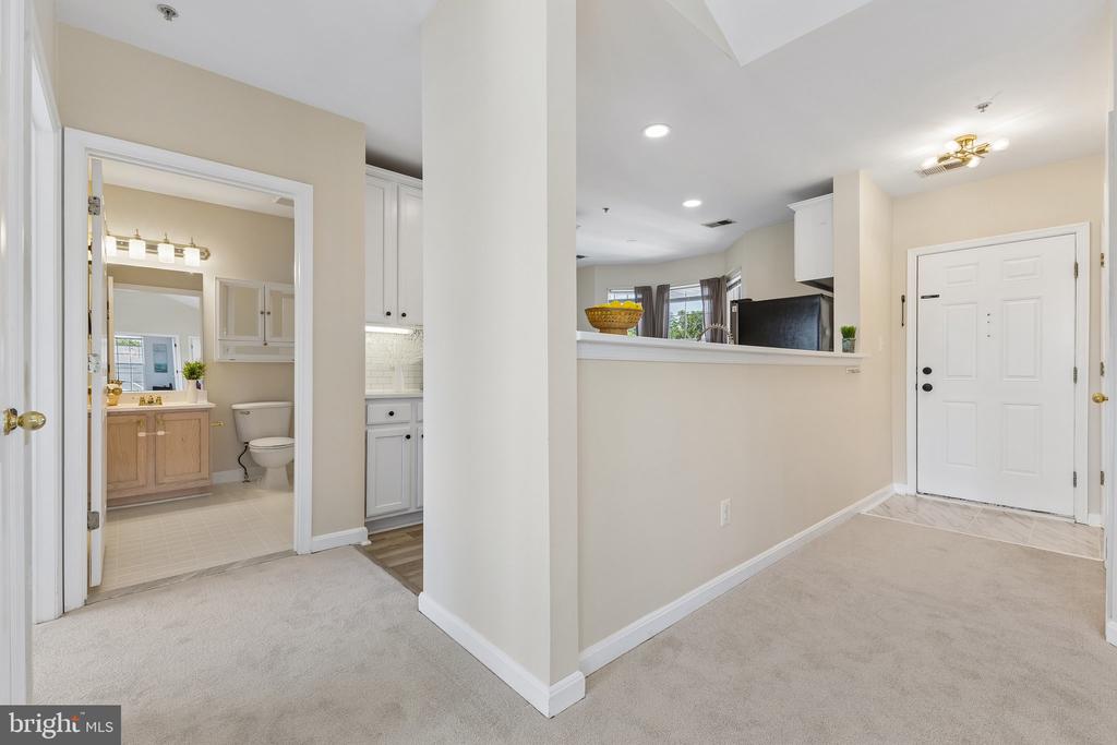 25340 LAKE MIST 304