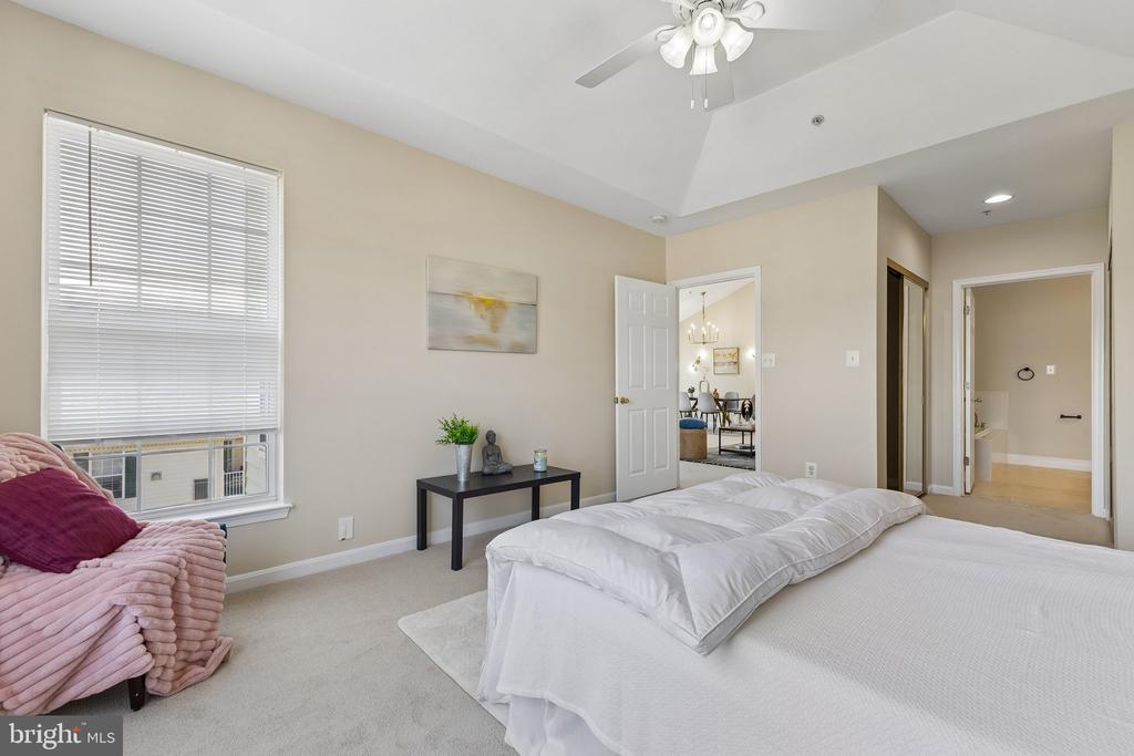 25340 LAKE MIST 304