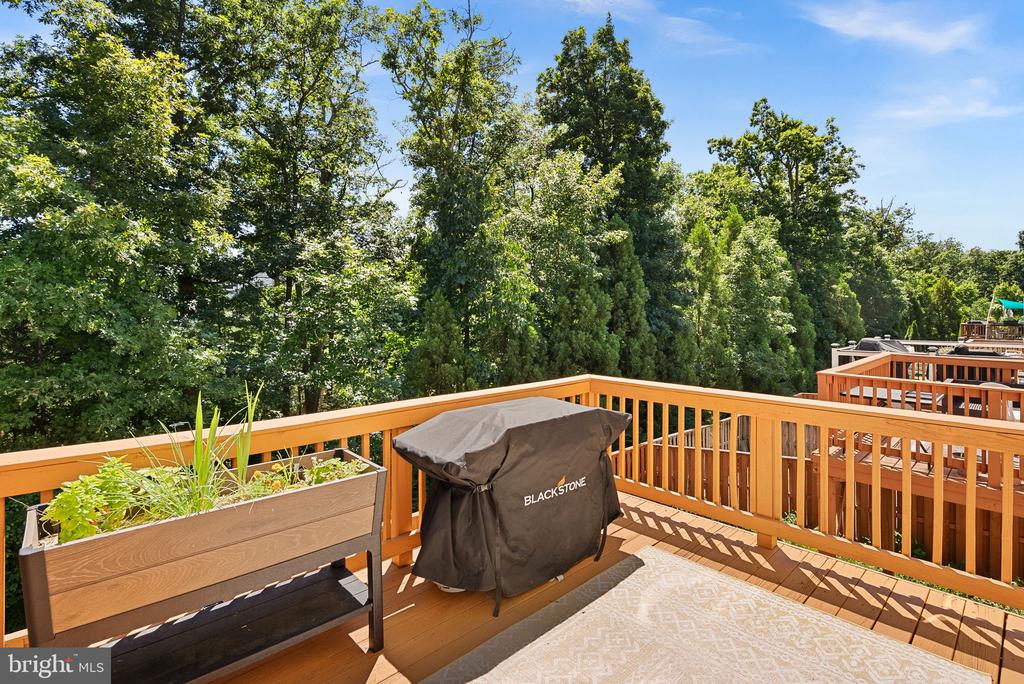 42449 PATRICK WAYNE SQUARE