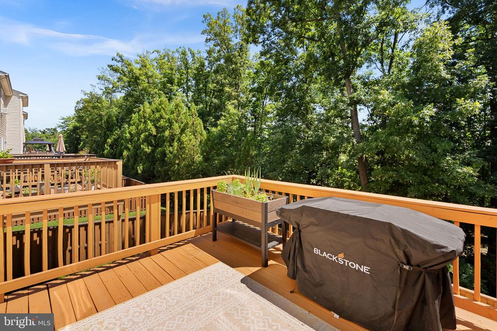42449 PATRICK WAYNE SQUARE