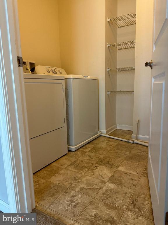 24598 JOHNSON OAK