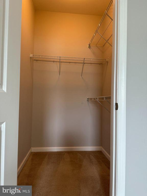 24598 JOHNSON OAK