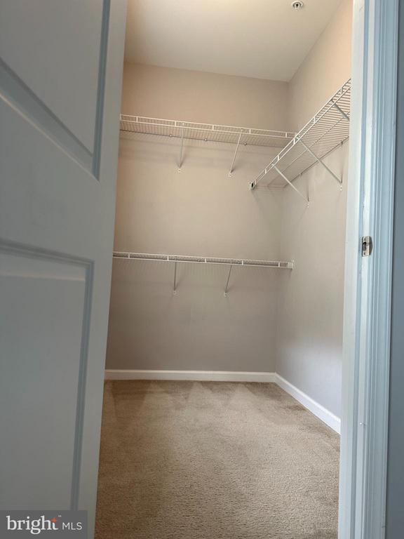 24598 JOHNSON OAK
