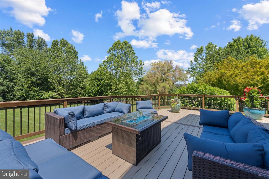 16555 CHESTNUT OVERLOOK DRIVE