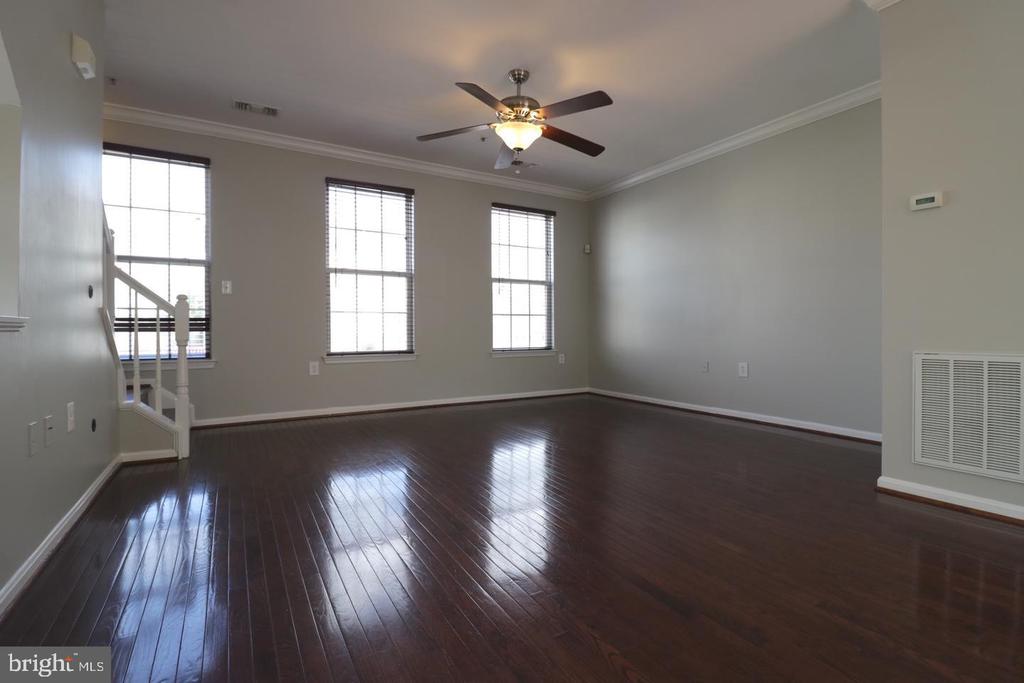21786 DRAGONS GREEN SQUARE