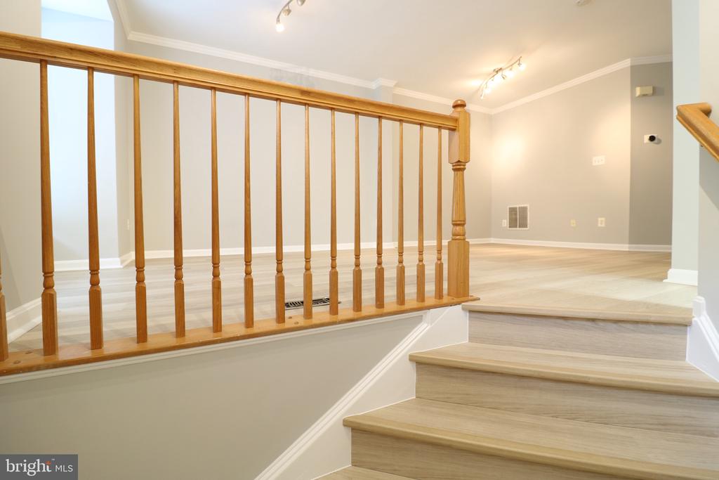 43673 SCARLET SQUARE