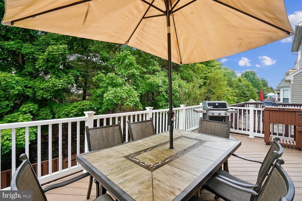 42998 MILL RACE TERRACE
