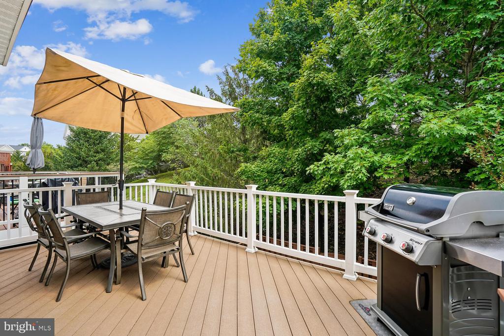42998 MILL RACE TERRACE