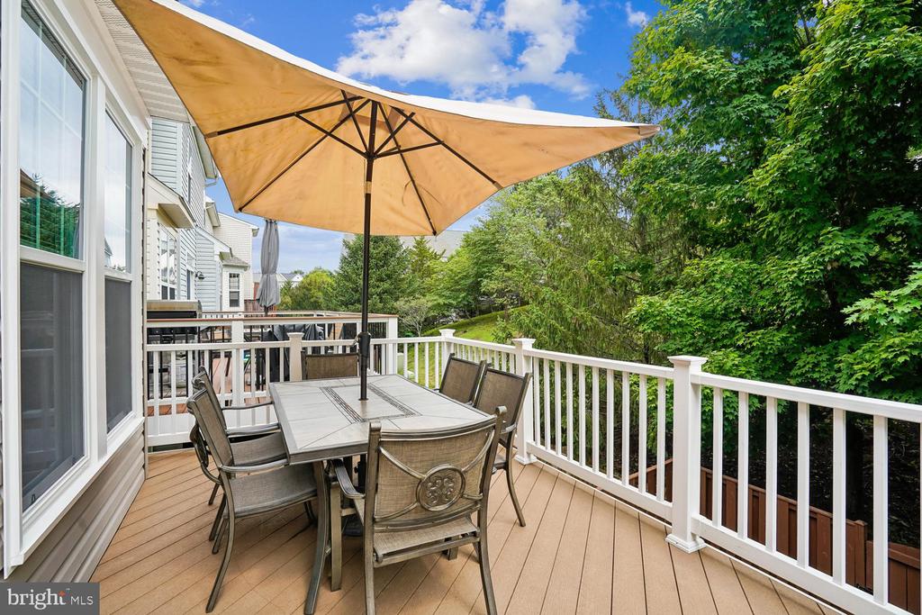 42998 MILL RACE TERRACE