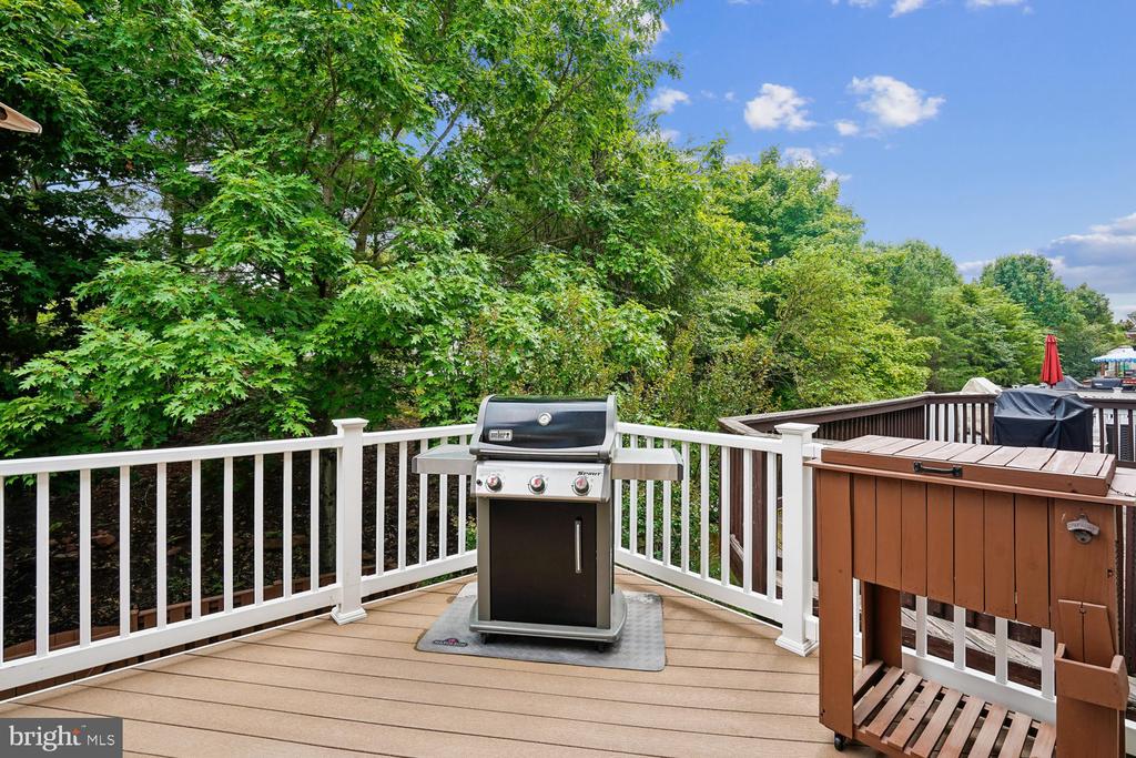 42998 MILL RACE TERRACE