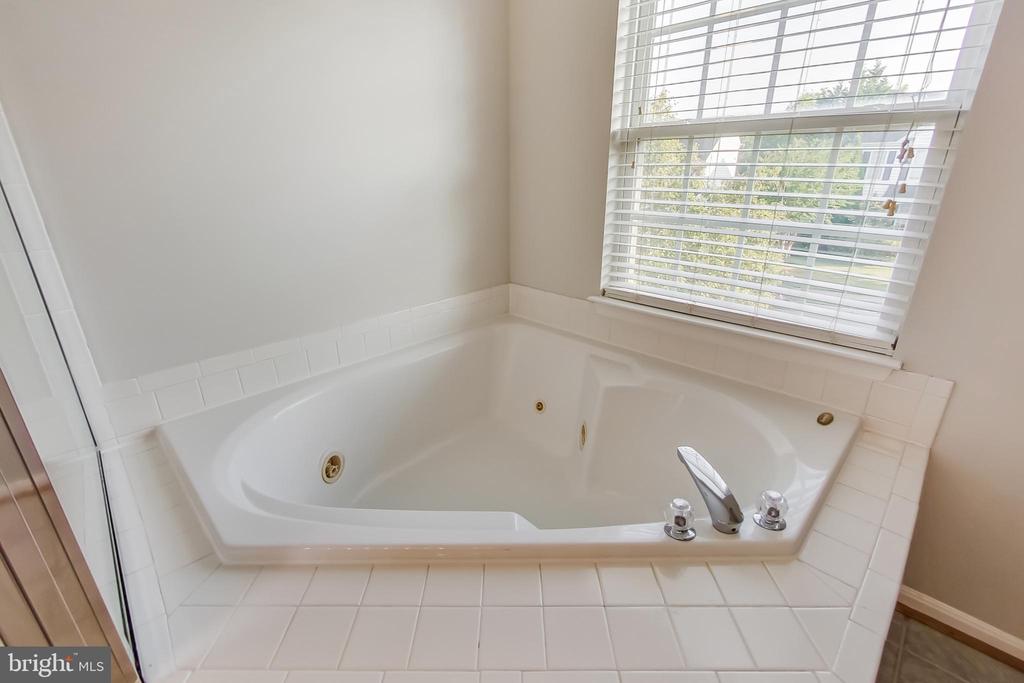 43537 CLIVEDON COURT
