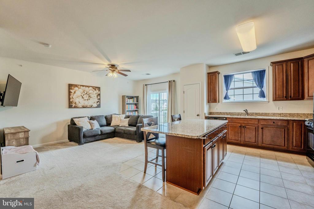 19466 PROMENADE DRIVE