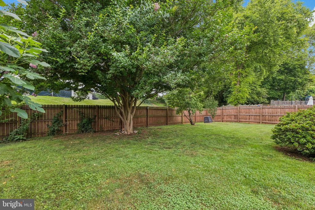 246 AVONDALE DRIVE