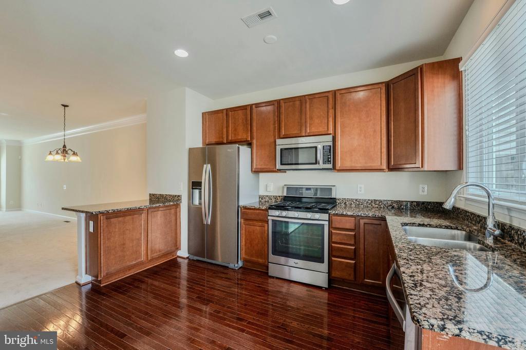 42662 NEW DAWN TERRACE