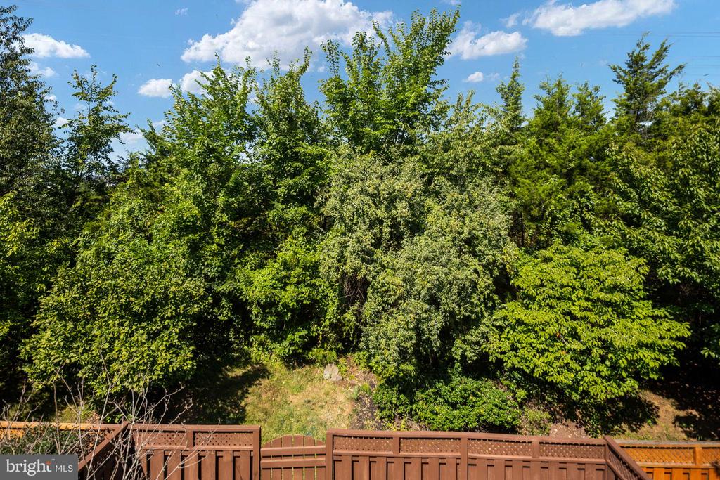 25151 SWEET MYRTLE SQUARE