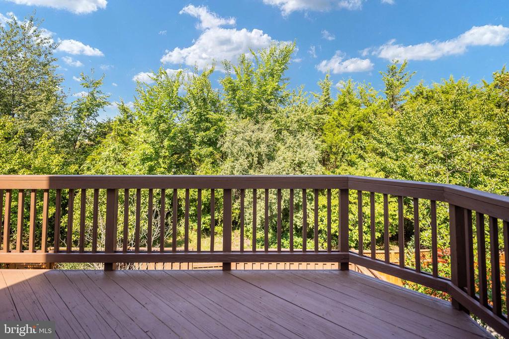25151 SWEET MYRTLE SQUARE