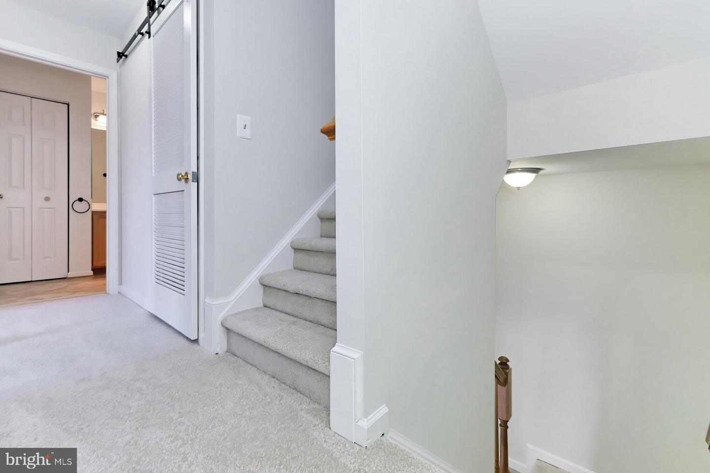 9316 FRINGE TREE LANE
