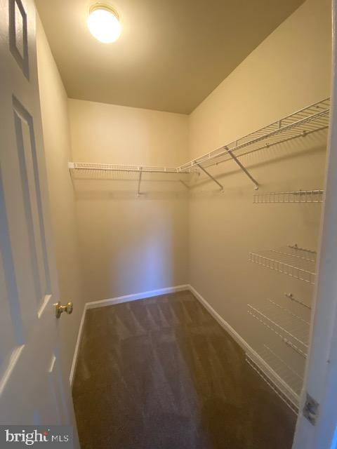 319 MOSEBY COURT E