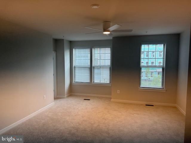 1110A DABNEY DRIVE