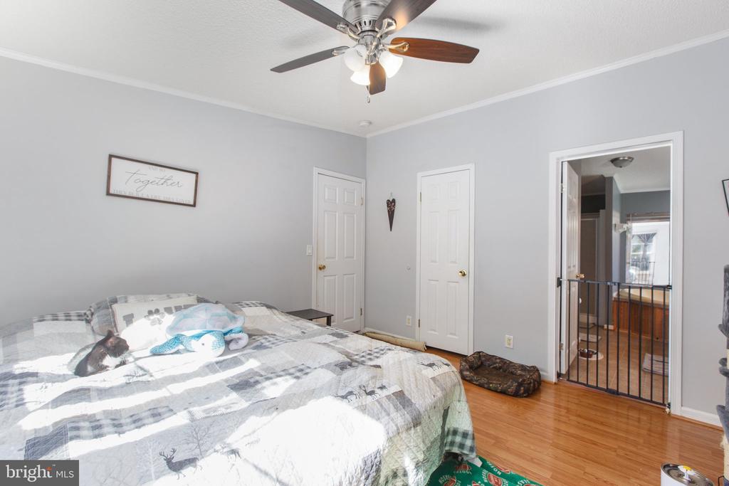 3320 Rapidan Hills Dr
