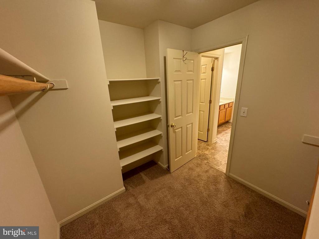 35123 SARA CT