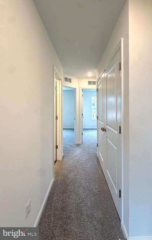 2584 COUGAR LN
