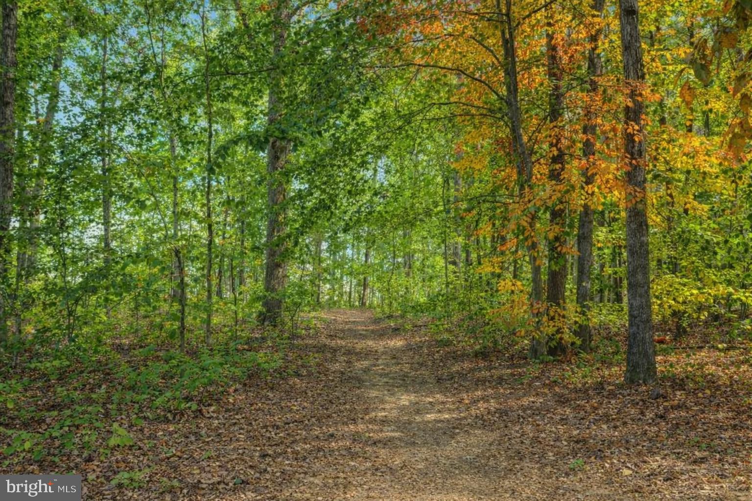 35623 PINE NEEDLE LANE