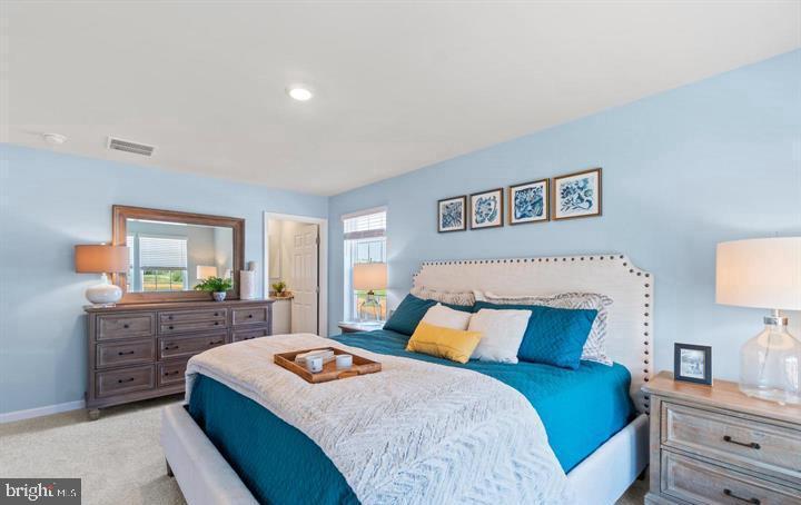 141 CATERPILLER DRIVE