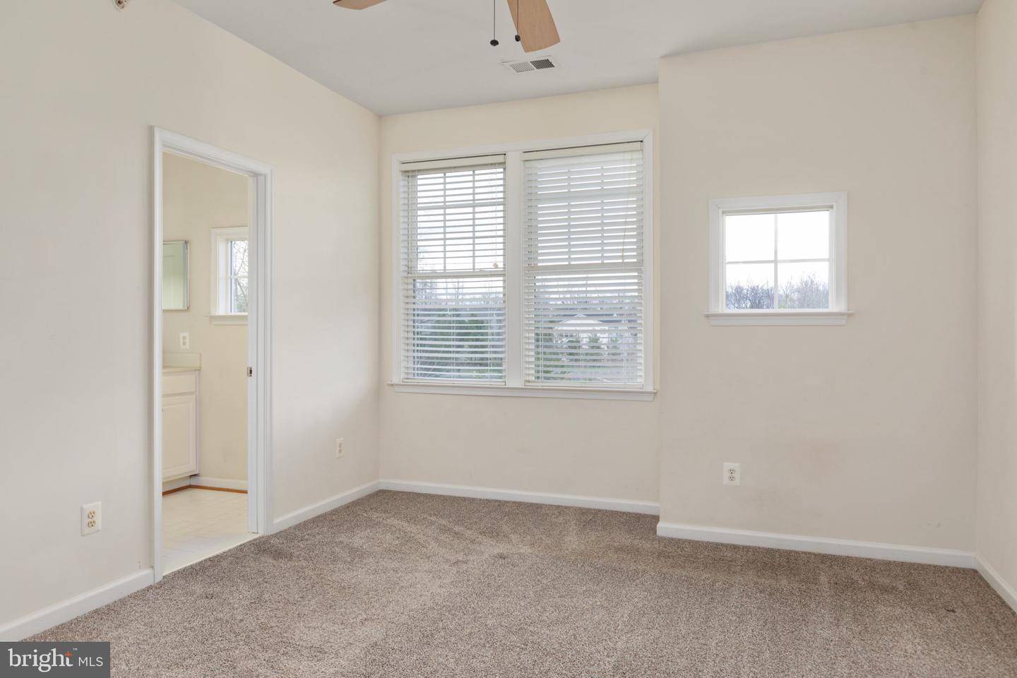 8301 COLLIER LANE