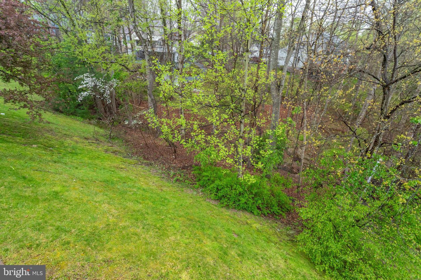 3483 LYON PARK COURT
