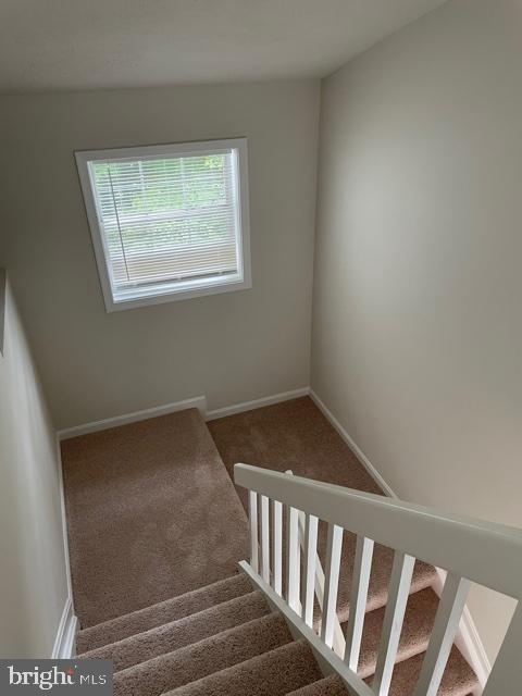 12199 CARDAMOM DRIVE Unit: 12199