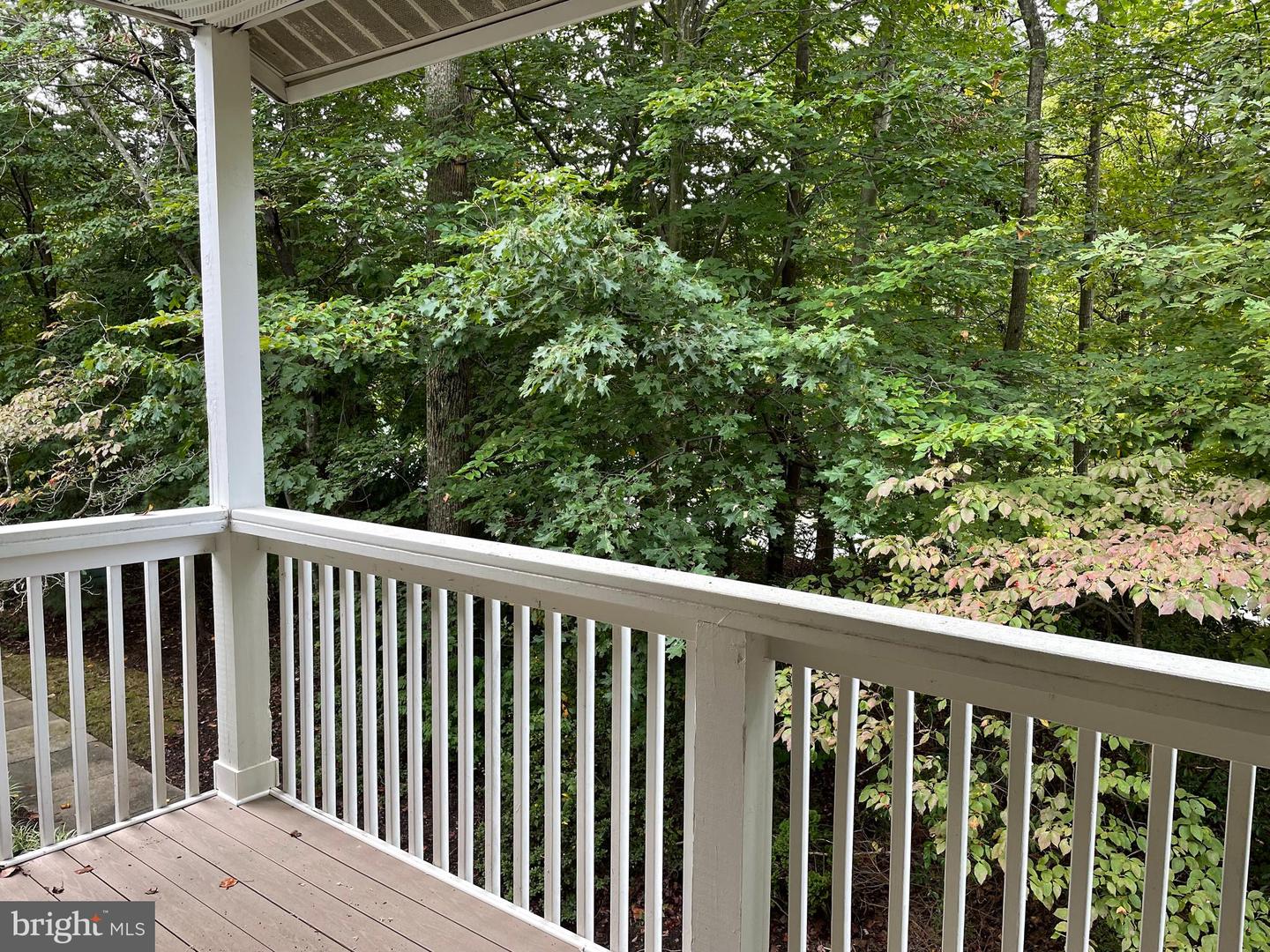 12199 CARDAMOM DRIVE Unit: 12199