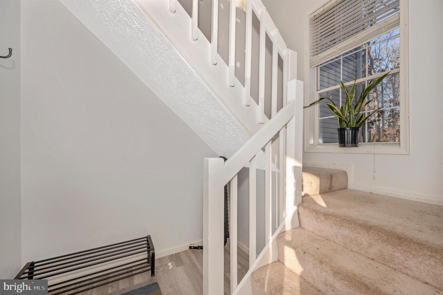 11942 CARDAMOM DRIVE Unit: 11942