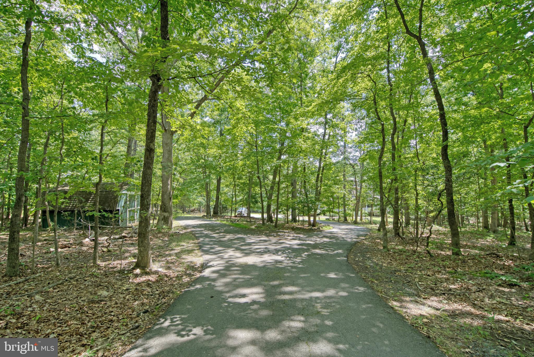 1971 MOUNTAIN ROAD
